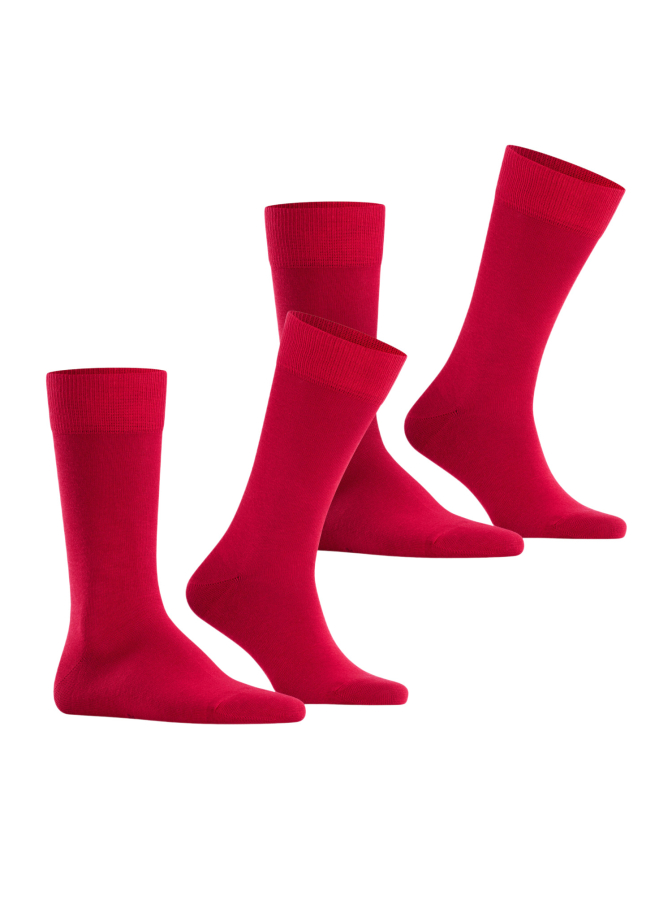Falke Socken 2er-Pack bei Robert Ley
