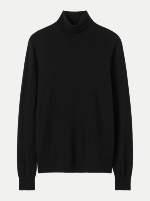 Tiger of Sweden Strickpullover bei Robert Ley