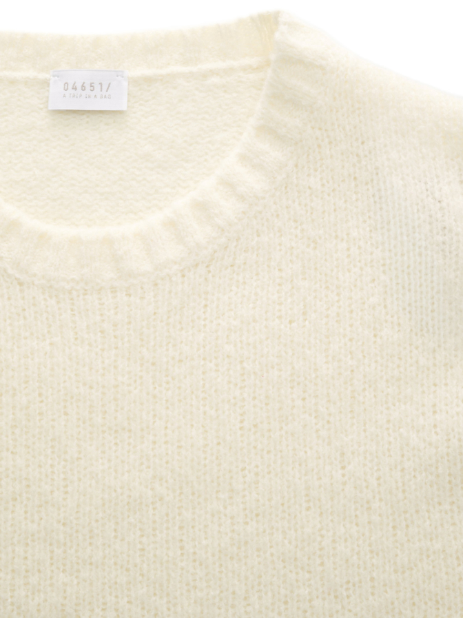 04651/ A trip in a bag Pullover Molly Crew bei Robert Ley