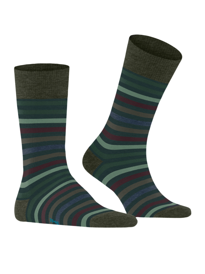 Falke Socken Tinted Stripe bei Robert Ley