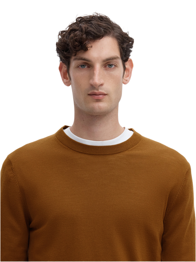 SELECTED HOMME Pullover aus Merinowolle bei Robert Ley
