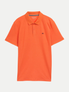 Tom Tailor Casual Basic Poloshirt 38891-pale red bei Robert Ley