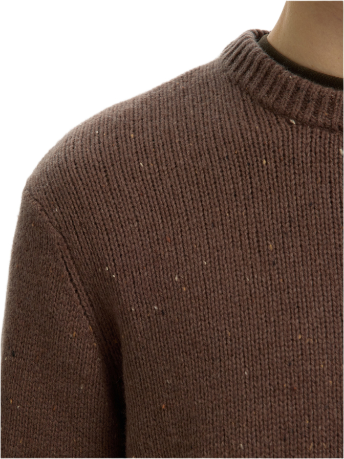 SELECTED HOMME Pullover aus Woll-Mix bei Robert Ley