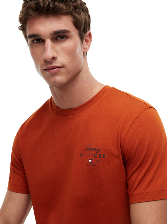 Tommy Hilfiger T-Shirt mit Logo-Print bei Robert Ley