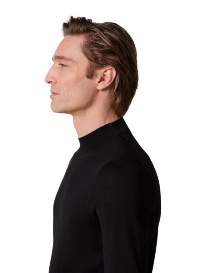 PROFUOMO Stehkragen Pullover aus Wolle bei Robert Ley