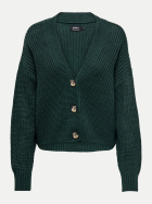 Only Struktur Strickjacke Carol 199509-Green Gables bei Robert Ley