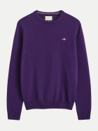 Gant Rundhalspullover aus Lambswool 544-PANSY PURPLE bei Robert Ley