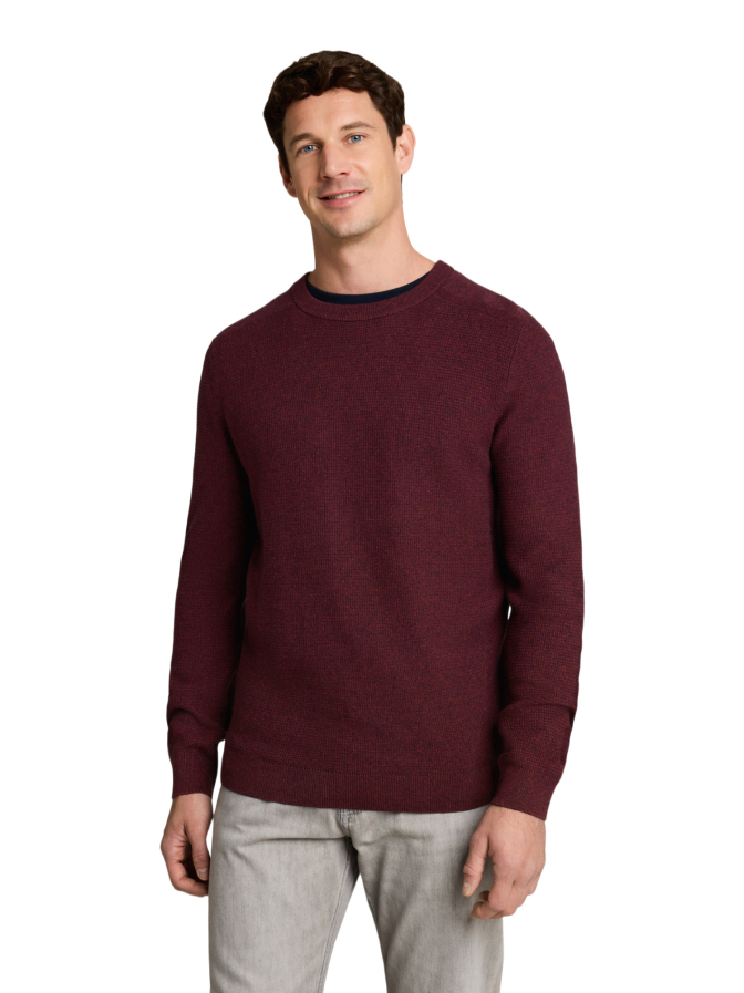 Tom Tailor Casual Basic Strickpullover bei Robert Ley