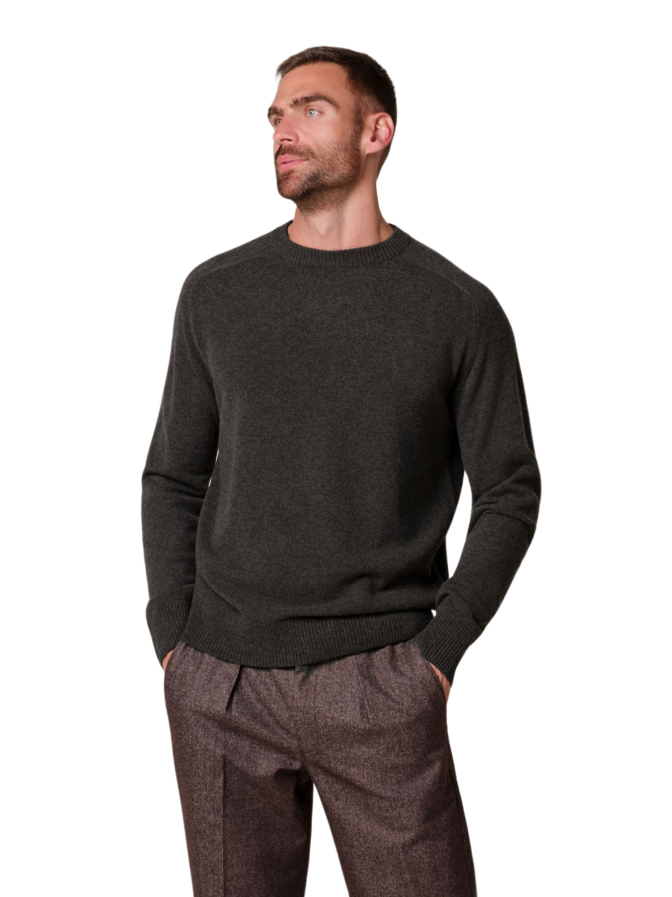 PROFUOMO Pullover Soft Wolle Crewneck bei Robert Ley