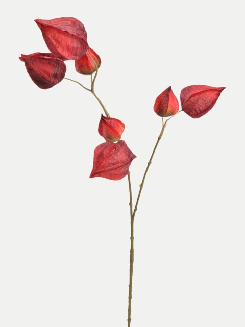 G.WURM LAMPIONZWEIG 73cm bei Robert Ley