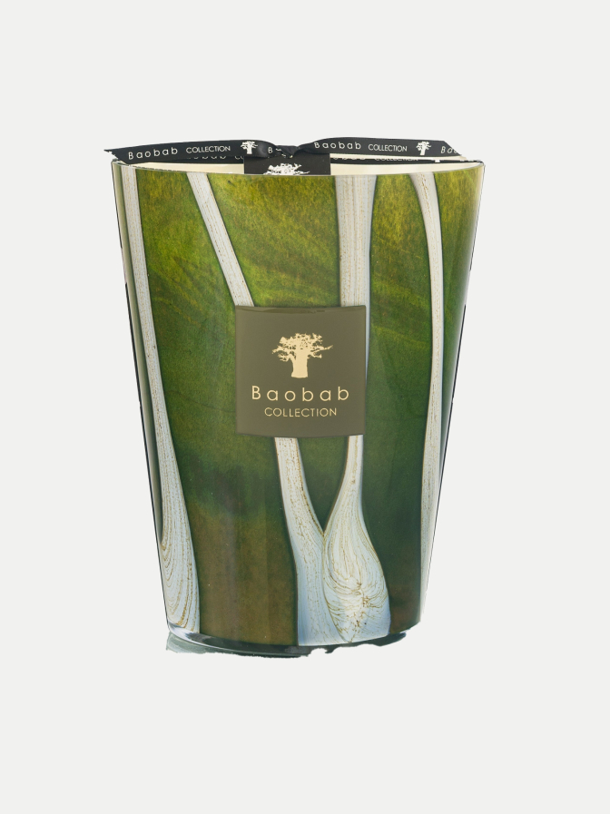 Baobab Duftkerze Sherwood 24cm bei Robert Ley