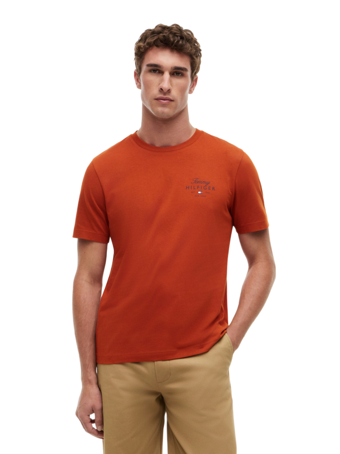 Tommy Hilfiger T-Shirt mit Logo-Print bei Robert Ley