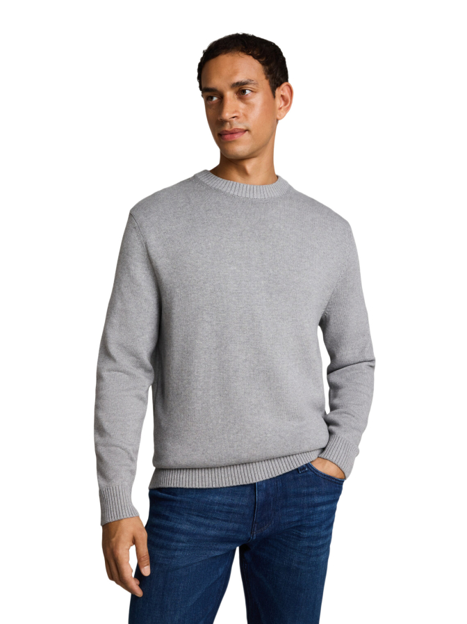 Tom Tailor Casual Basic Pullover bei Robert Ley