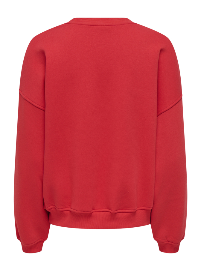 JDY Sweatshirt bei Robert Ley