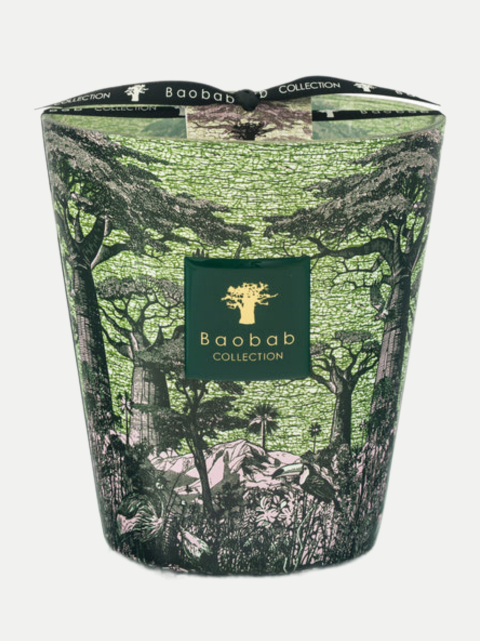 Baobab Duftkerze Touba 16 cm bei Robert Ley