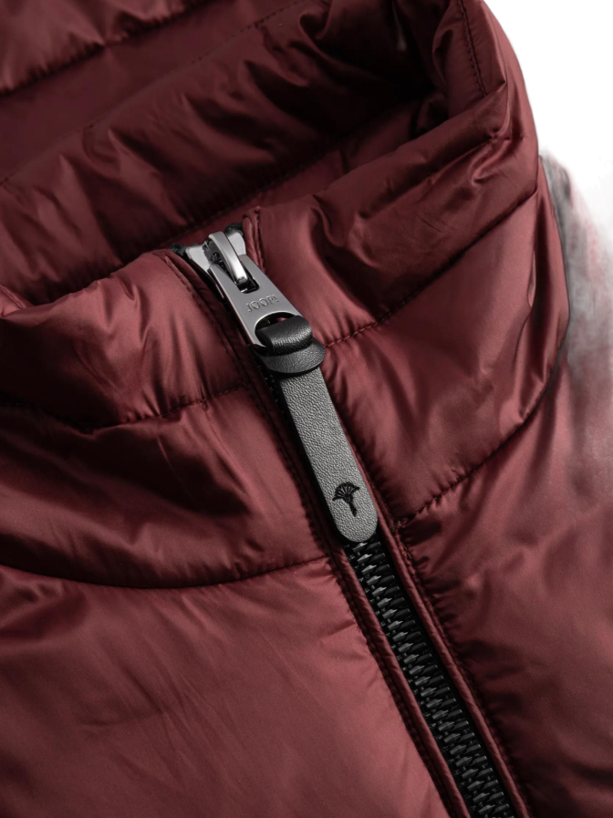 Joop! Steppjacke Craigton mit Stehkragen bei Robert Ley