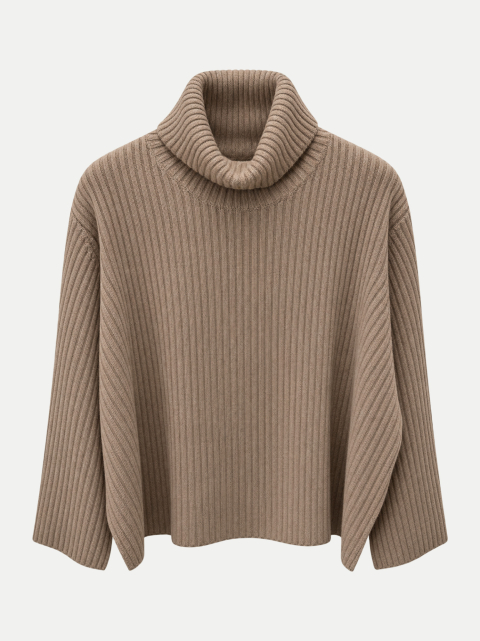 Flona Rollkragenpullover aus Kaschmir bei Robert Ley