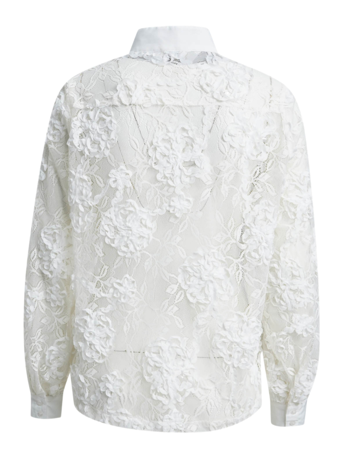 Milano Italy Spitzenbluse mit Pailletten bei Robert Ley