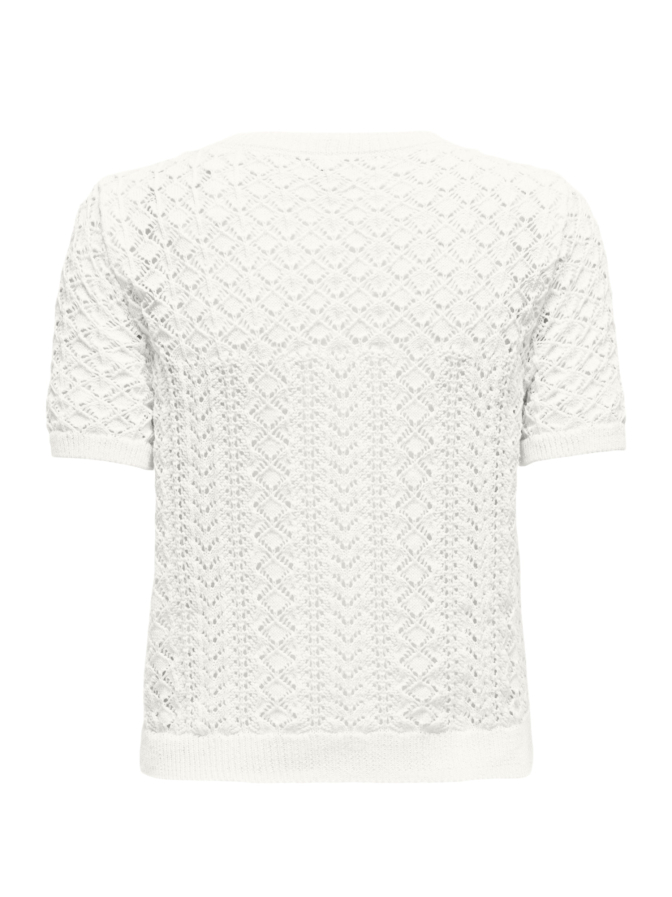 Only Top Saga bei Robert Ley