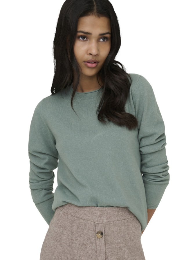 Only Langarmshirt ONLLOYAL bei Robert Ley