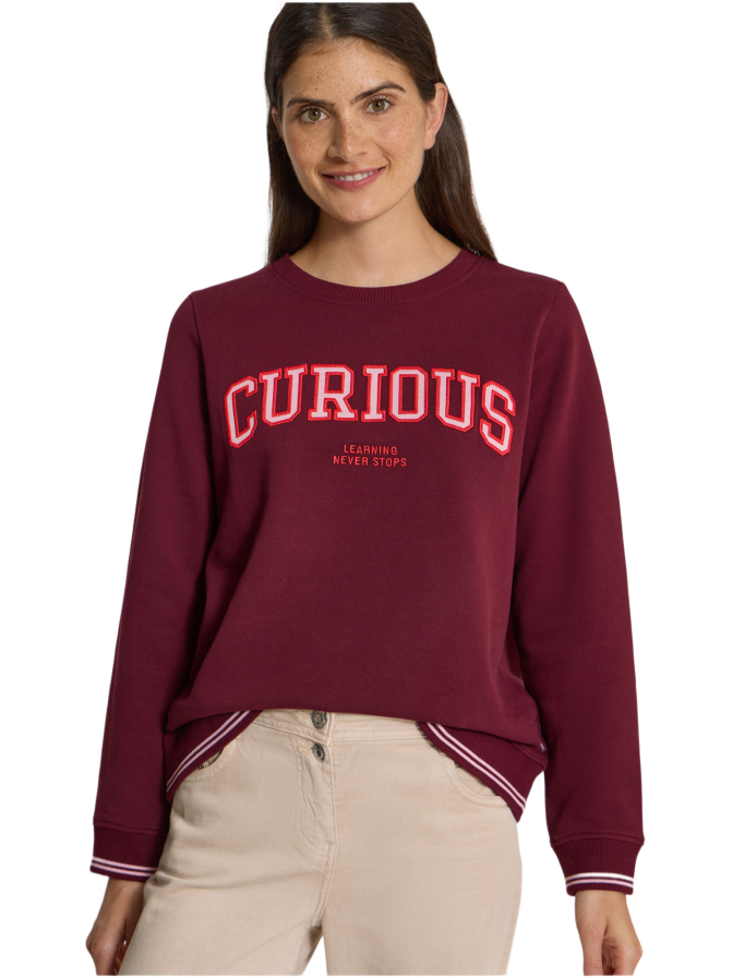 Cecil Sweatshirt mit Stickerei bei Robert Ley