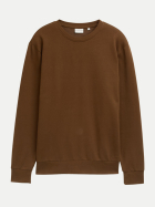 Tom Tailor Casual Basic Sweatshirt 23900-dark palm bei Robert Ley