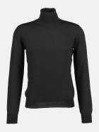 GRAN SASSO Rollkragenpullover aus Merinowolle 099 bei Robert Ley