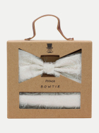 Prince Bowtie Fliege + Tuch im Paisley-Design FB.3-SILBER bei Robert Ley