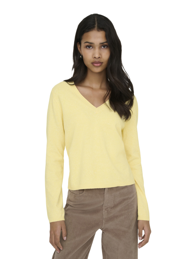 Only Strickpullover ONLLOYAL bei Robert Ley