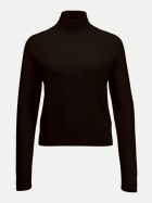 Allude Sweatshirt mit Rollkragen 49-49 bei Robert Ley