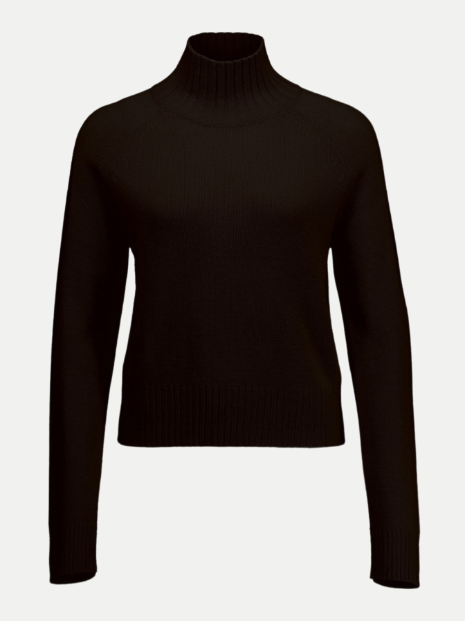 Allude Sweatshirt mit Rollkragen bei Robert Ley