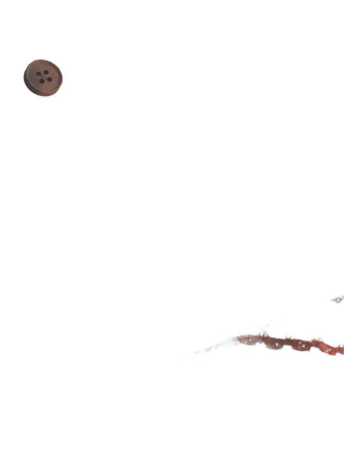 Strellson Kurzarmhemd bei Robert Ley