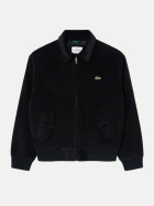 Lacoste Bomberjacke aus gefüttertem Cord 031-black bei Robert Ley