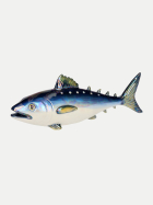 Giftcompany MIGNON DEKO FISCH M blau/weiss Thunfisch bei Robert Ley
