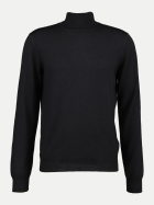 GRAN SASSO Rollkragenpullover im Vintage-Look 914 bei Robert Ley