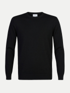 PROFUOMO Pullover aus Wolle A bei Robert Ley