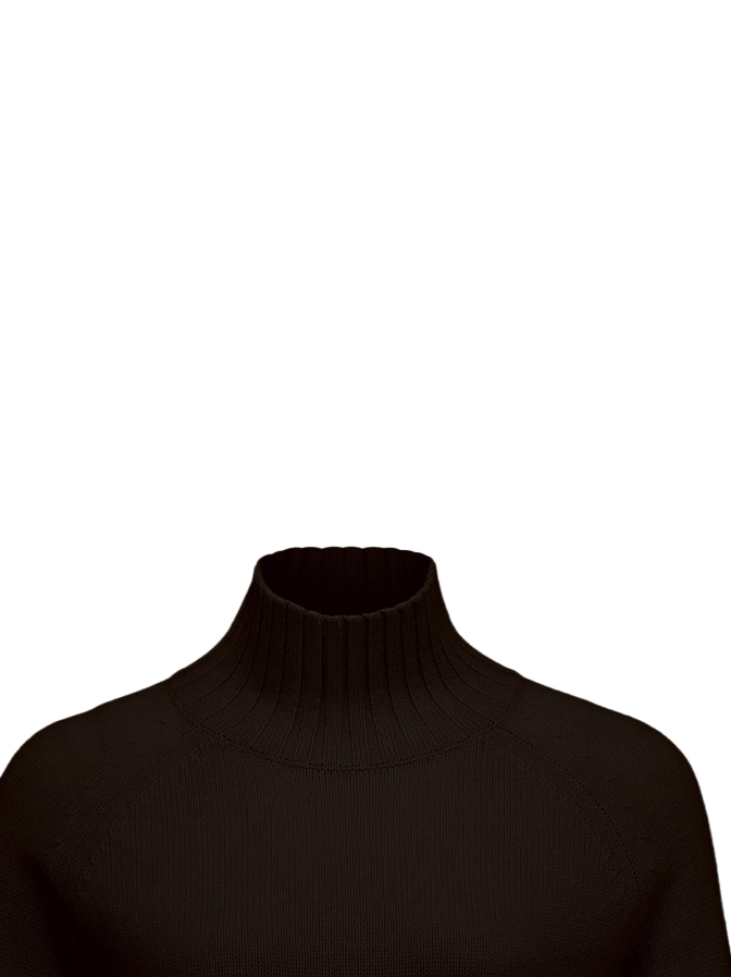 Allude Sweatshirt mit Rollkragen bei Robert Ley