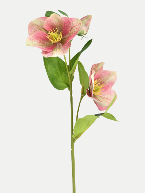 G.WURM Christrose B3.35 × H3 × T3 cm bei Robert Ley