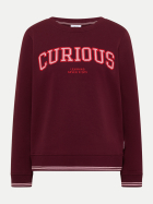 Cecil Sweatshirt mit Stickerei 37903-red wine bei Robert Ley