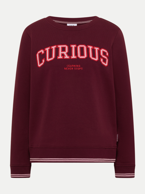 Cecil Sweatshirt mit Stickerei bei Robert Ley