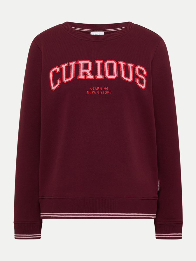 Cecil Sweatshirt mit Stickerei bei Robert Ley