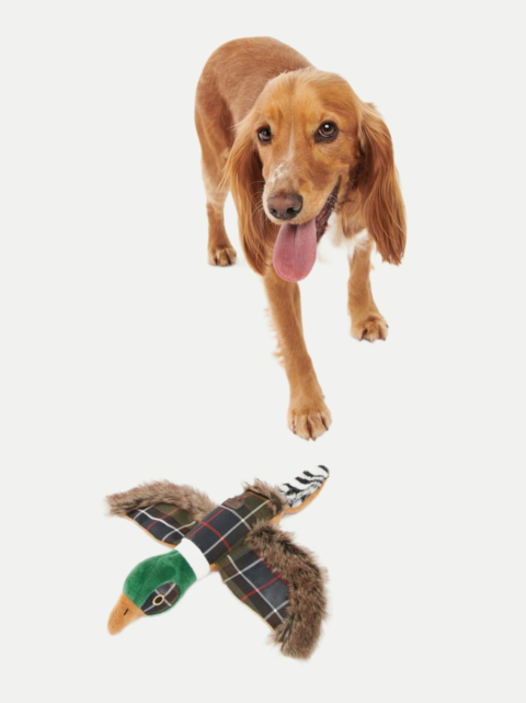 Barbour Hundespielzeug Fasan bei Robert Ley