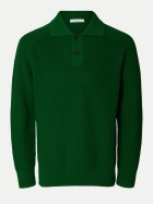 Selected Langarm-Poloshirt 308355-Formal Garden bei Robert Ley