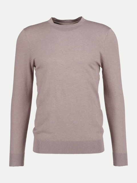 PROFUOMO Basic Crewneck Pullover bei Robert Ley