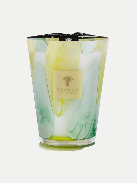 Baobab Duftkerze Santo Sospir 24cm bei Robert Ley