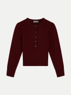 SoSue Wollpullover mit Henleykragen burgundy bei Robert Ley