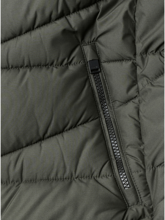 Cecil Steppjacke mit Kapuze und Zipper bei Robert Ley