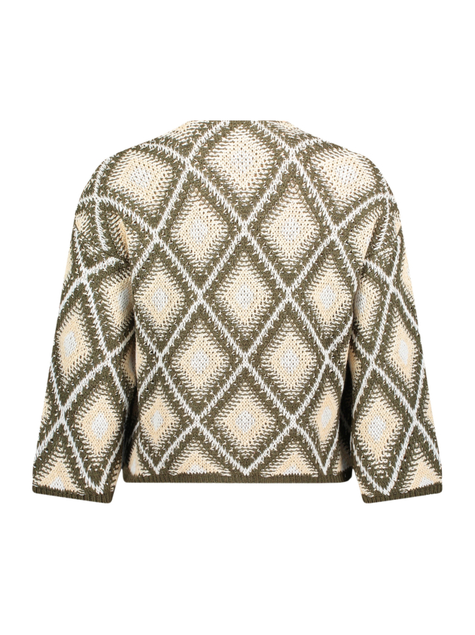 Cartoon Strickjacke mit Karo-Muster bei Robert Ley