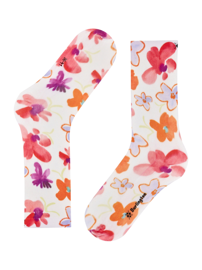 Falke Socken bei Robert Ley