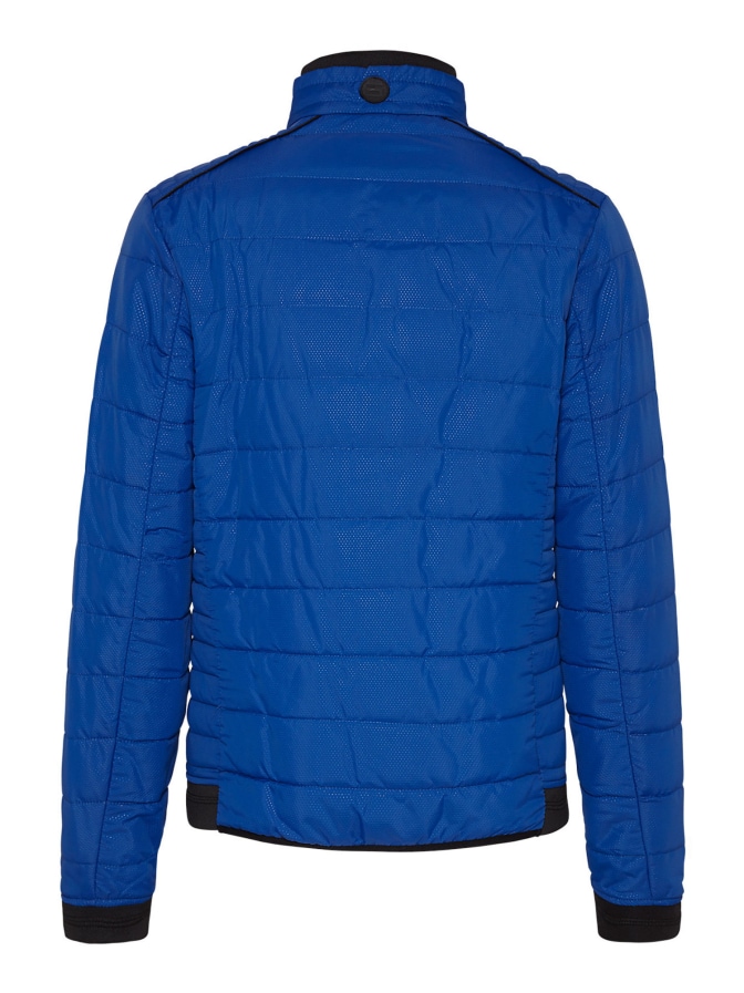 CINQUE Steppjacke Ciphase bei Robert Ley